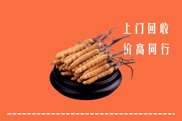 高价求购：涿州市回收散虫草