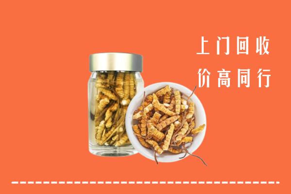 涿州市回收冬虫夏草