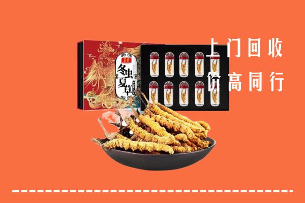 涿州市回收虫草
